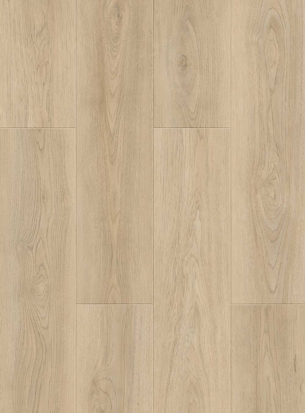 Cedar-Peanut-cut-portfolio