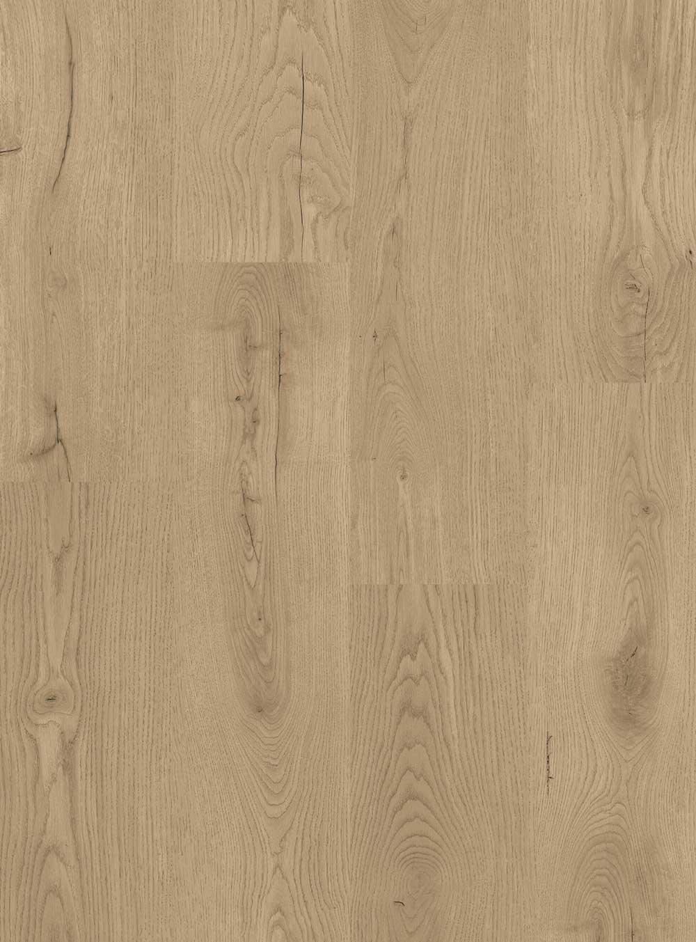 Concorde-bean-cut-portfolio