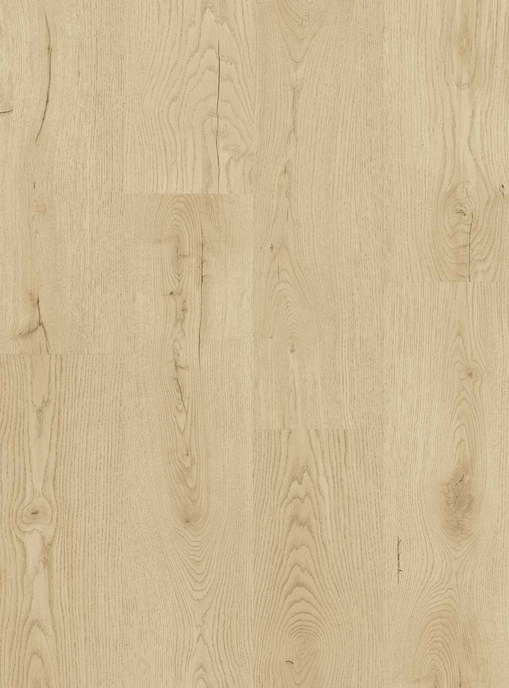 Concorde-ivory-cut-portfolio