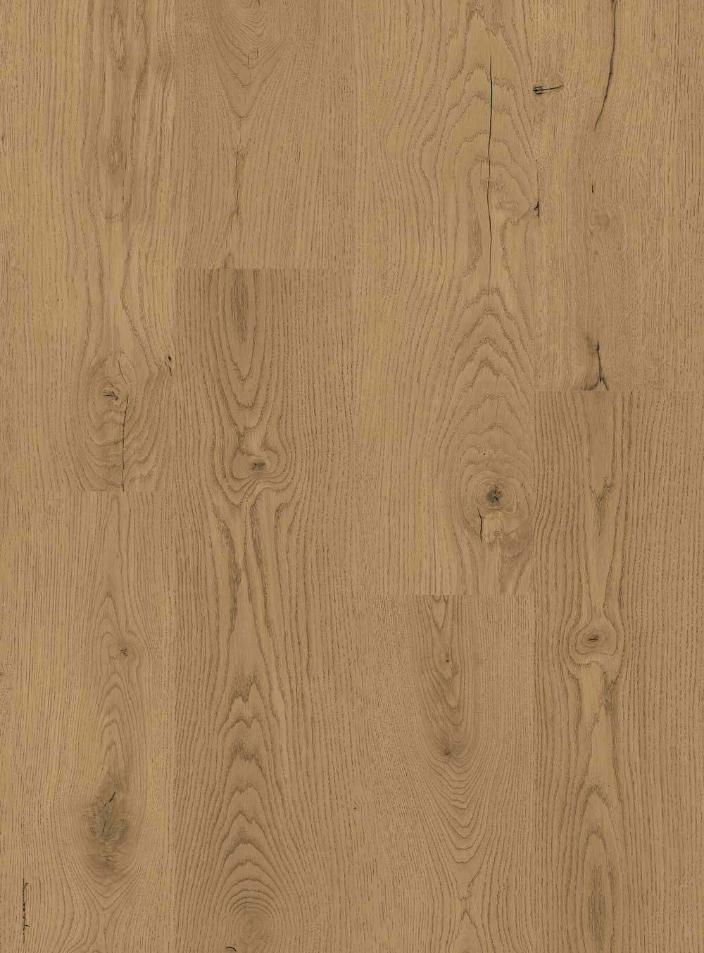 Concorde-oak-cut-portfolio