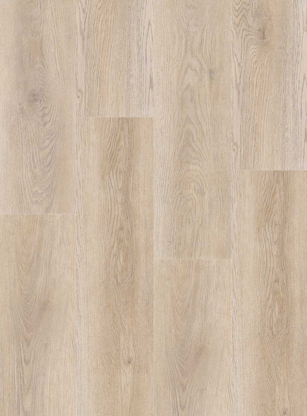 Mya-beech-cut-portfolio