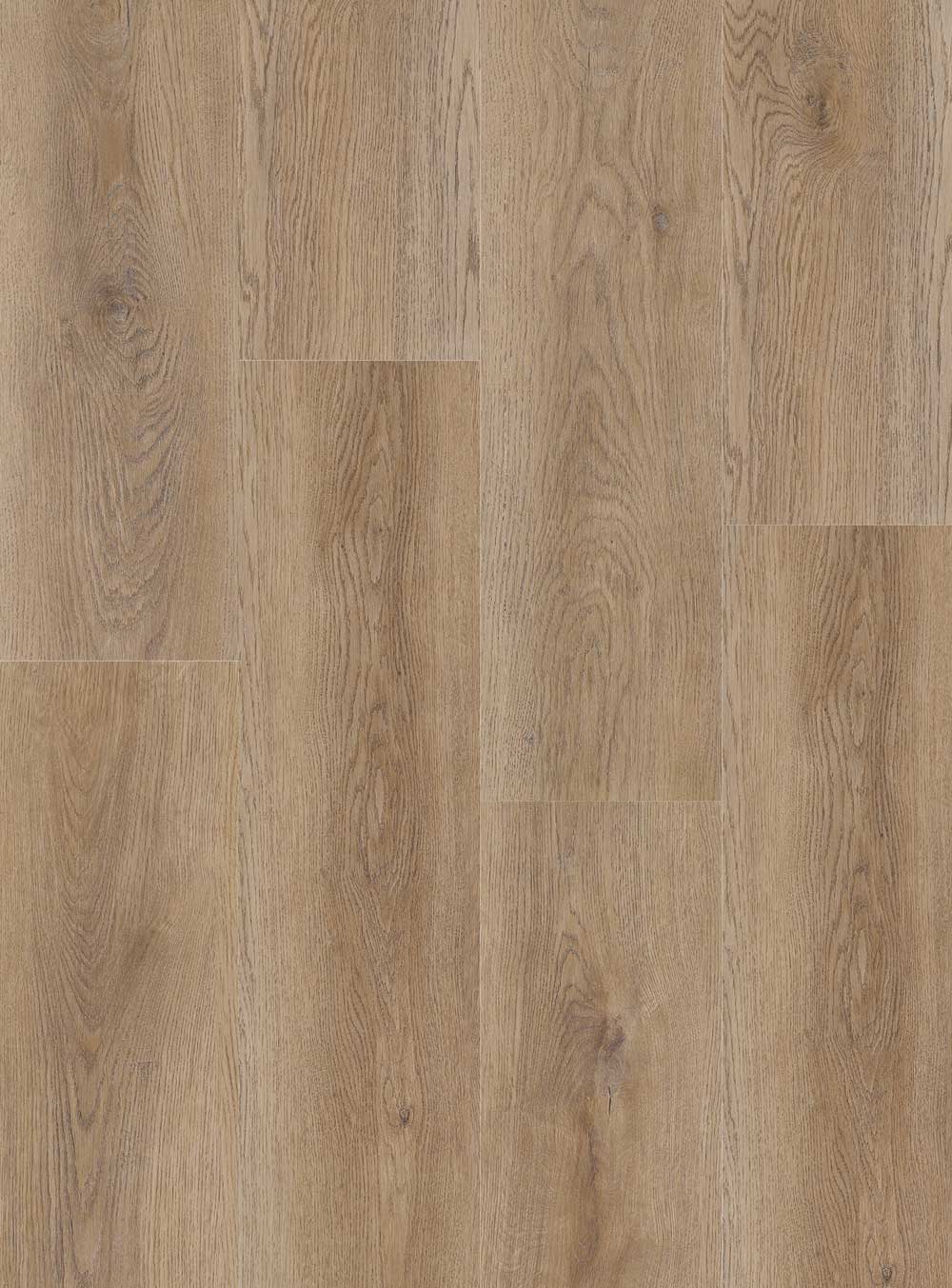 Mya-oak-cut-portfolio