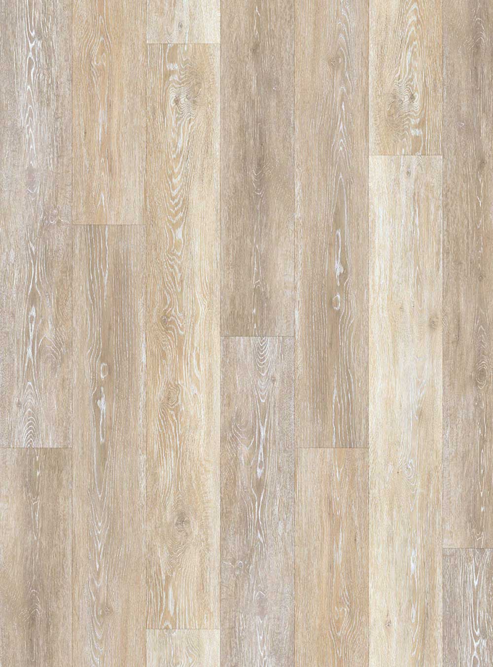 Smartwood-camel-cut-portfolio