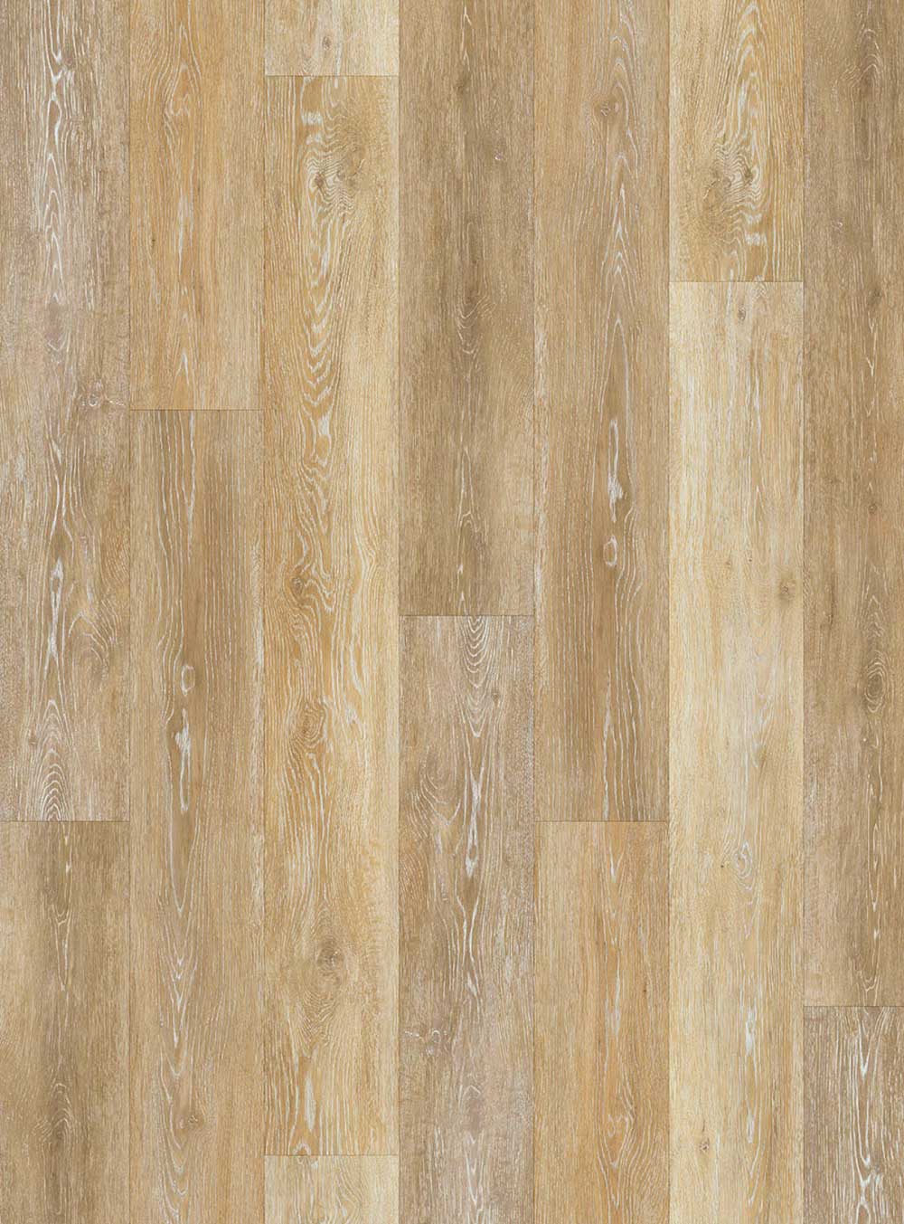 Topwood-camel-cut-portfolio