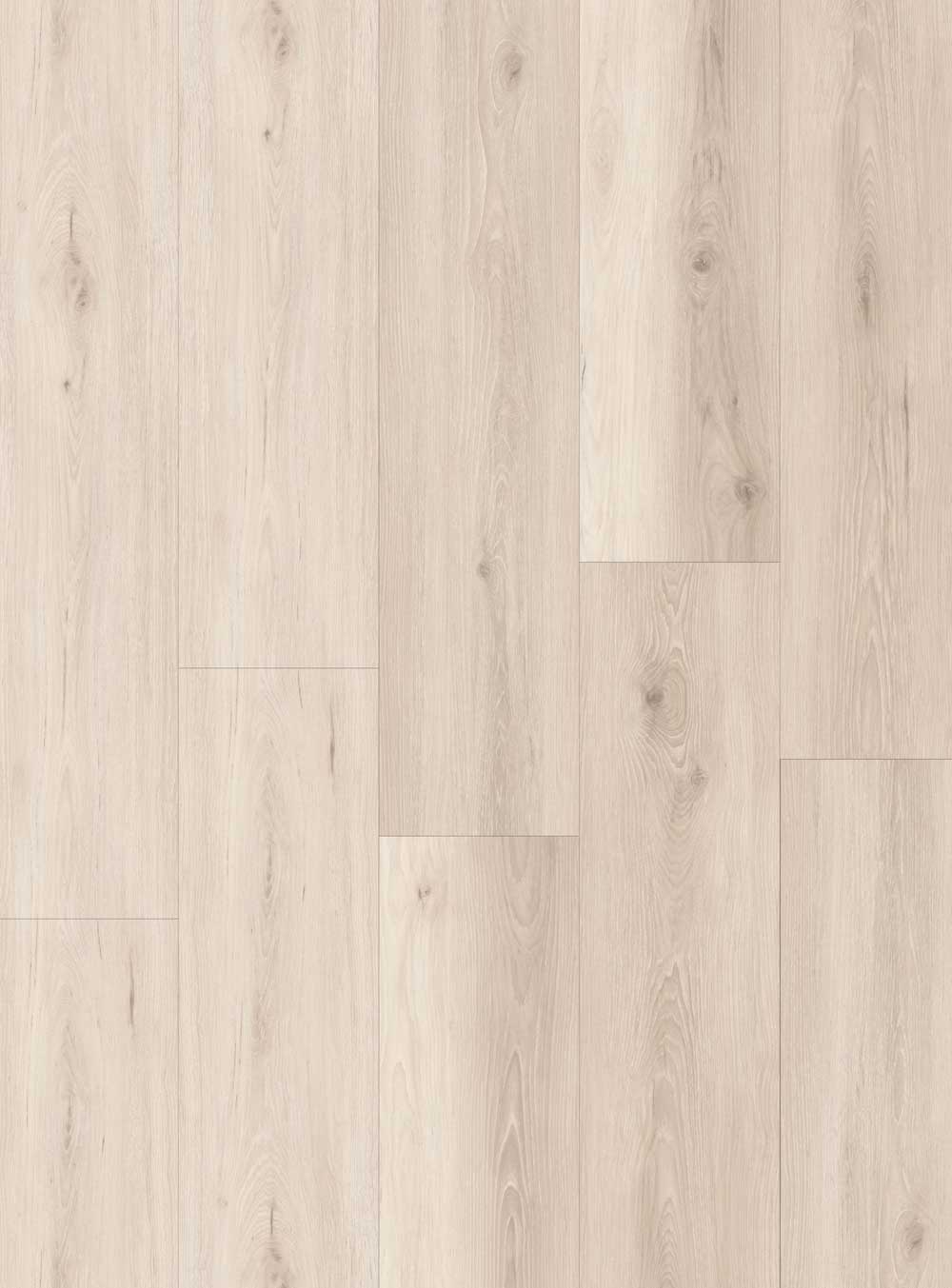 beachwood-sand-dollar-cut-portfolio